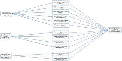 The multifaceted phenotypic and genotypic spectrum of type-IV-collagen-related nephropathy—A human genetics department experience